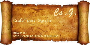 Csépes Gyula névjegykártya